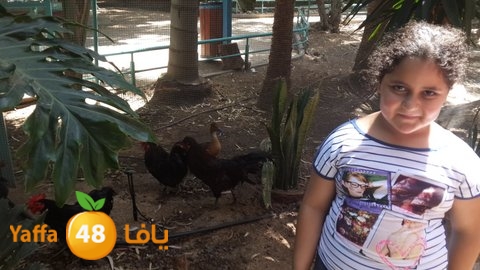 masyaf 7san 3arafasaj (65).jpg